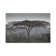 Africa, Tanzania, Ngorongoro Conservation Area. Rain And Trees On Savannah. by Jaynes Gallery - Wrapped Canvas Painting
