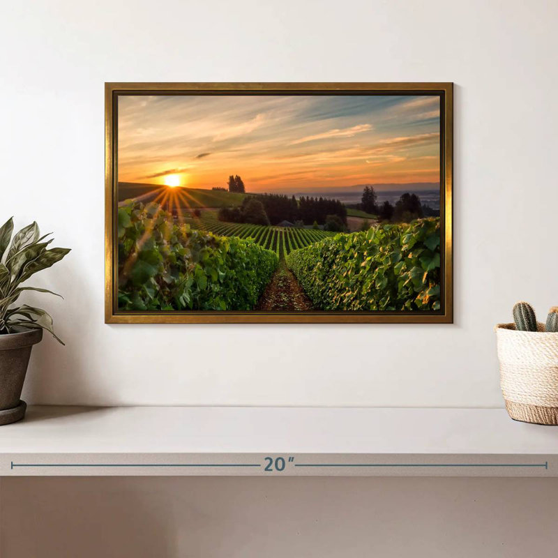 Willamette Vineyard, Cadre flottant doré, 13 po x 9 po