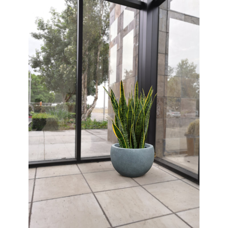 Pot Planter, Slate Gray