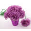 Pot de fleurs en soie-1087967424