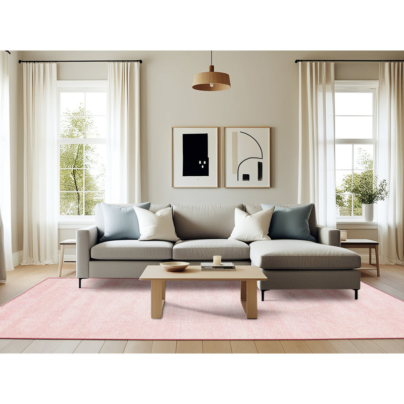 Tapis de zone rose contemporaine, Rectangle 6 pi x 9 pi