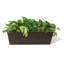 Valencia Composite Planter Box-1508185206-1508185209