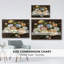 Une perspective plus brillante-93400033-93400034