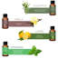 Ensemble d'huiles essentielles 16 pièces Aromathérapie 100% pure thérapeutique