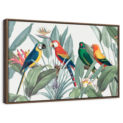 Tropical Safari Parrots