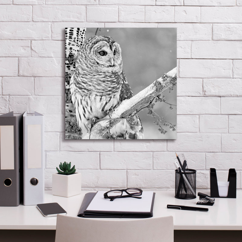 «White Owl» par PhotoINC Studio, H 18 po x l 18 po x P 0,75 po