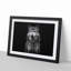 Wolf Portrait - Picture Frame Painting Print-55612719-55612721