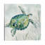 Seaglass Turtle I 1 Piece Painting on Canvas-1486779054-1496679792