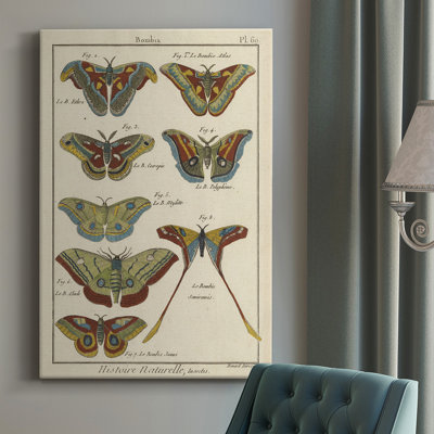 «Histoire Naturelle Butterflies II», impression sur toile tendue