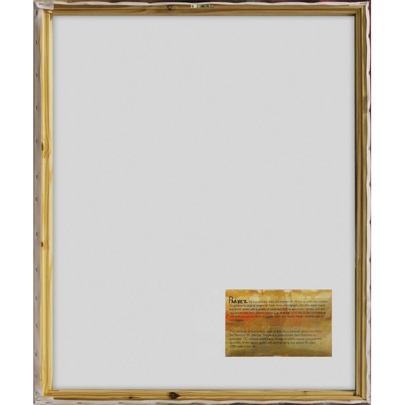But Ref! by Lonie Bee Print on Wrapped Canvas, 29" H x 24" W x 1.5" D