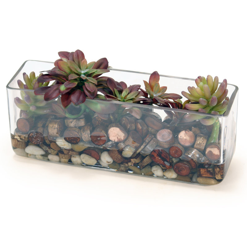 Plantes grasses artificielles en pot 1,5 po Fernand