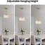 Luminaire suspendu moderne en verre pour îlot de cuisine avec abat-jour à pétales, luminaires suspendus en laiton réglables pour le couloir de la salle à manger (base E26)-1219193764