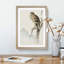 Kite Bird by Numata Kashu - Picture Frame Painting Print-55765276-55765279
