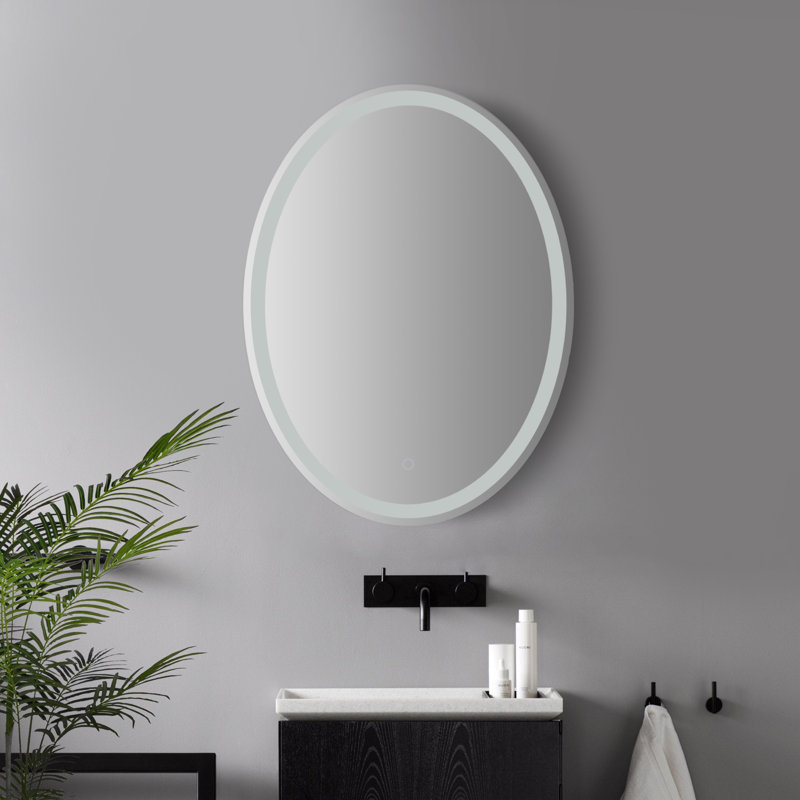 Dane 24 in. W x 32 in. H Small Oval Frameless Dimmable Anti-Fog Front and Backlit Tri-Color LED Wall Bathroom Vanity Mirror