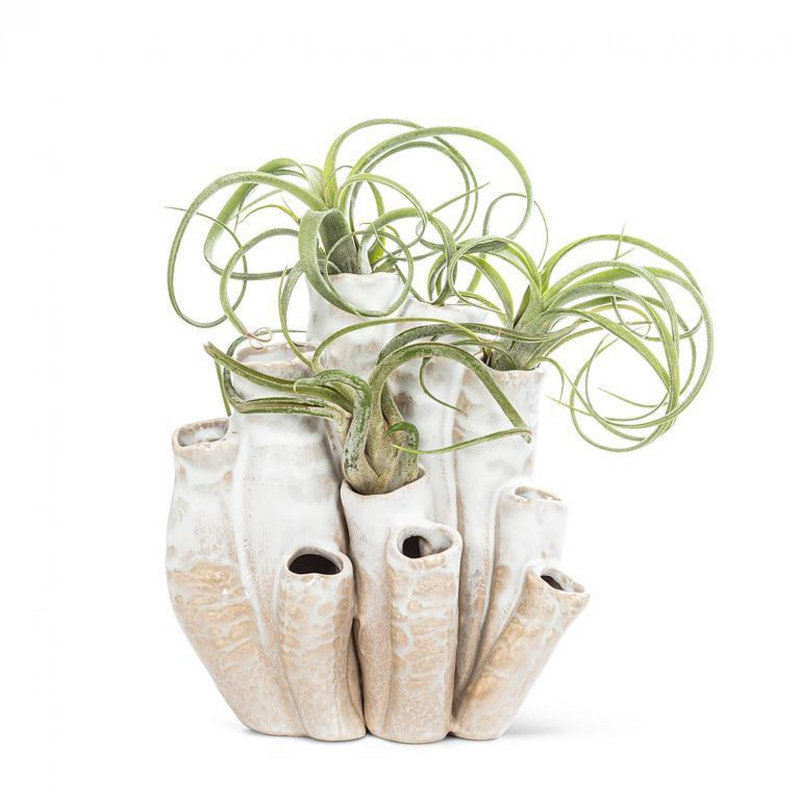 Yuliana Ceramic Table Vase, 7" H x 6.5" W x 5" D