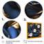 Gilded Rose In Kings Blue II - imprimé floral rose sur bois-87362815-87362817