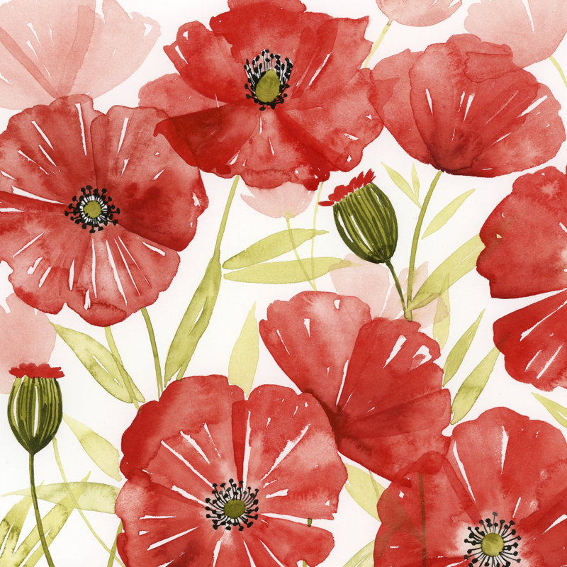 Poppy Screen I by Grace Popp - Wrapped Canvas Painting, 30cm H x 30cm W