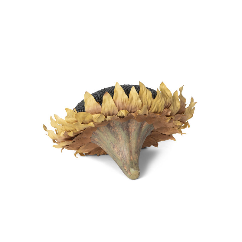 Sunflower Head
