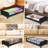 Rebrilliant Decorative Bin