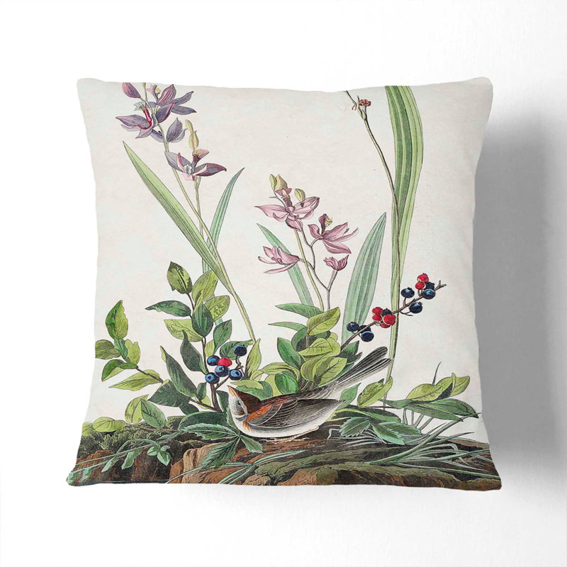Field Sparrow by John James Audubon Cushion with Filling, 55cm H x 55cm W x 20cm D, Black