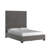 Upholstered Platform Bed-68602212