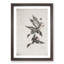 Wild Geese in Flight by Bian Shoumin - Framed Print-55611855-55611856