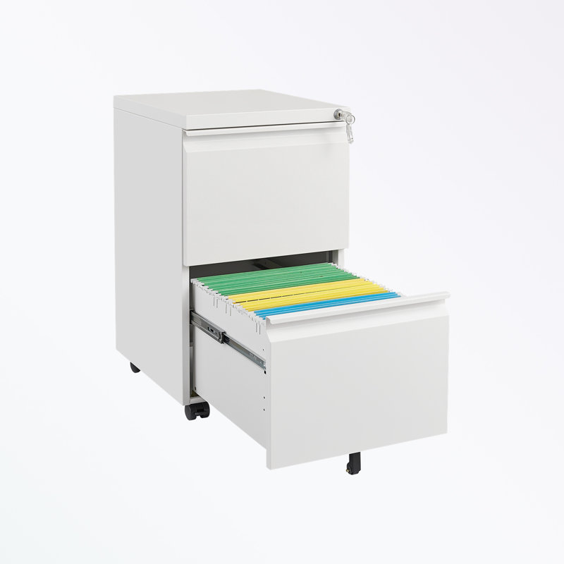 Classeur de rangement de 15,35 po Mathusan, Blanc