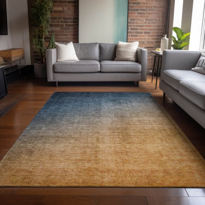 Caseville Ombre Rug
