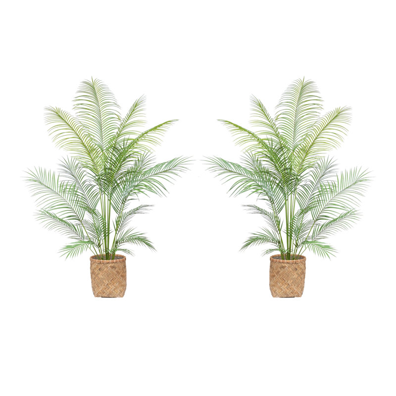 Cairns Outdoor UV Rated Kentia Palm Drop-In Trees with Bamboo-Wrapped Cement Pots, 68" H x 39" W x 39" D