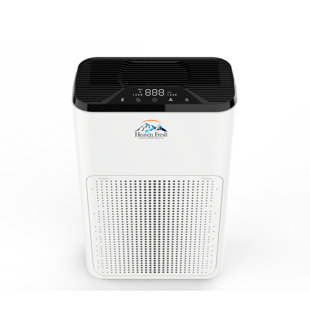 Air avec filtre HEPA véritable