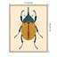 " Beetle Bug II " by Victoria Barnes-89603295