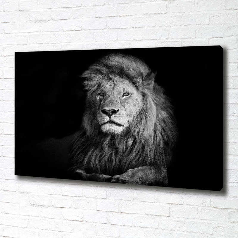 Lion - Wrapped Canvas Print