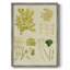Reproduction encadrée Vintage Sea Grass IV - bois massif-659620869