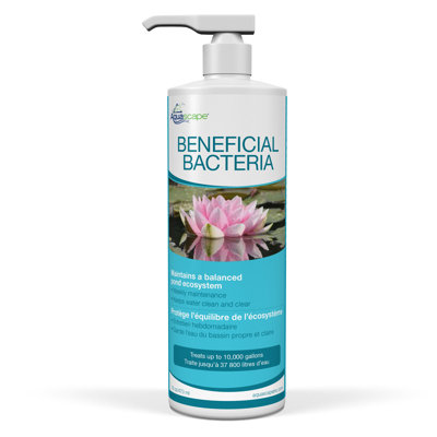 Beneficial Bacteria for Ponds