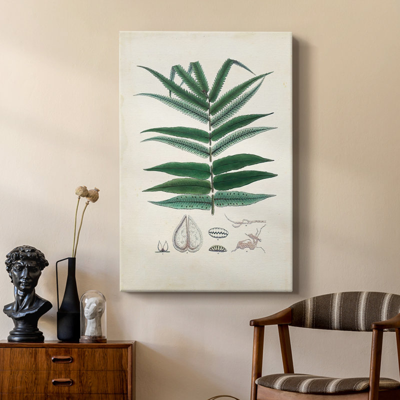 Collectionné fougères ix - galerie sur mesure, H 12 po x l 8 po