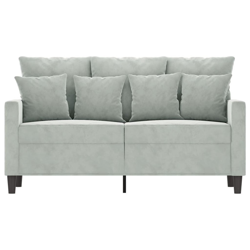 vidaXL 2-seater Sofa Light Grey Velvet (100% polyester), Metal, Textilene, Light Gray Velvet, 31.5" H x 54.3" W x 30.3" D