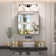 Gervon Rectangle Recessed or Surface Medicine Cabinet with Shelves and Mirror