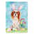 Cavalier Spaniel