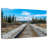 Lilie Denali Rail-107676932