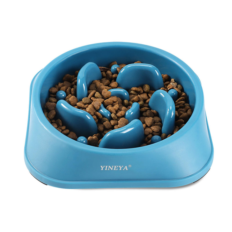 Bol pour chien à alimentation lente, Bleu
