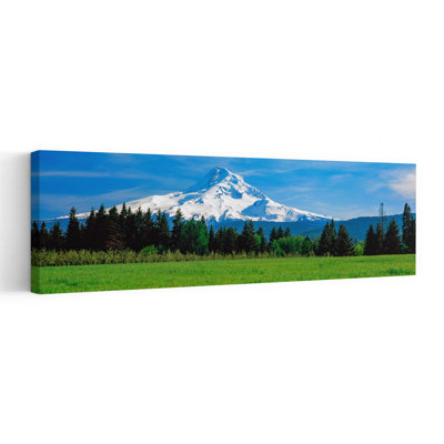 Champ avec une montagne enneigée en arrière-plan, Mont Hood, Oregon, États-Unis, art contemporain contemporain, paysage mural
