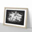 Vaulted Tree Branches - Picture Frame Graphic Art Print-56864548-56864547