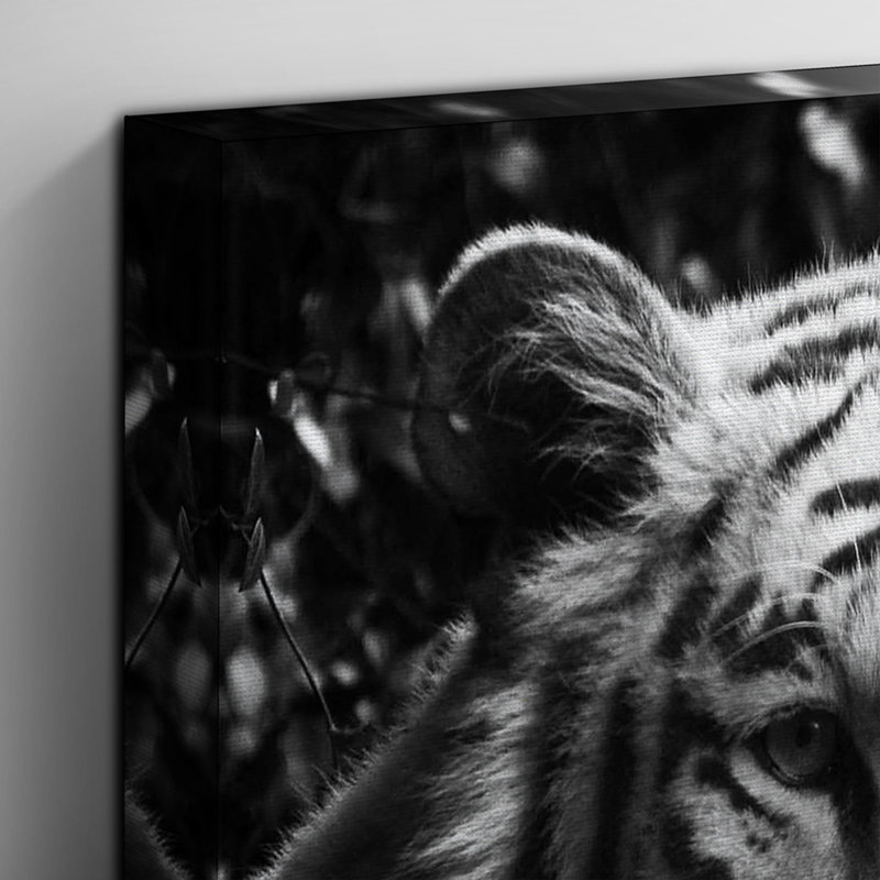 Wrapped Canvas Print, 50cm H x 35cm W
