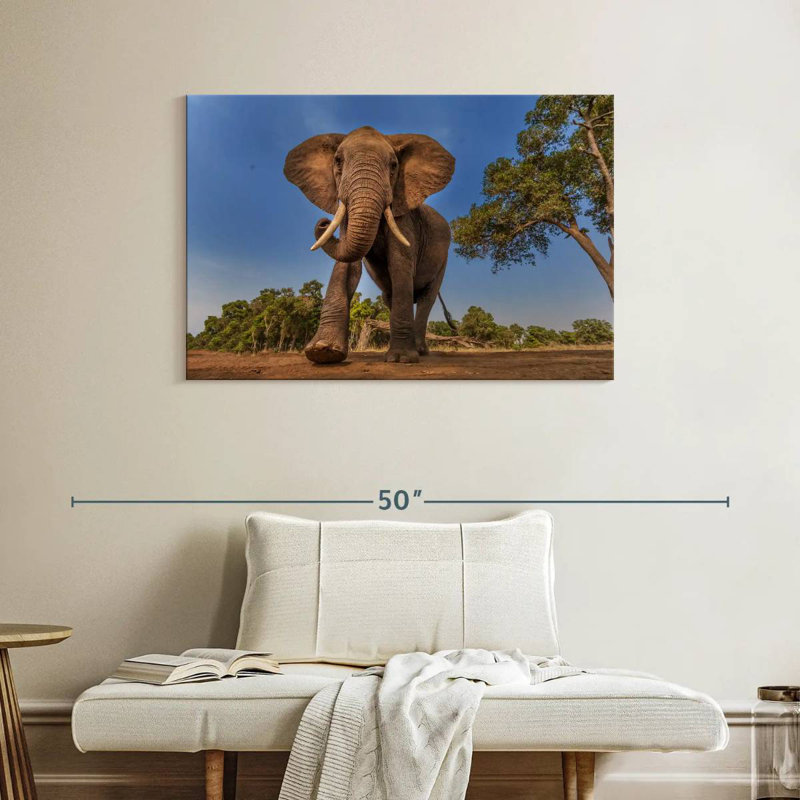 Brampt Playful African Elephant, 26" H x 39" W