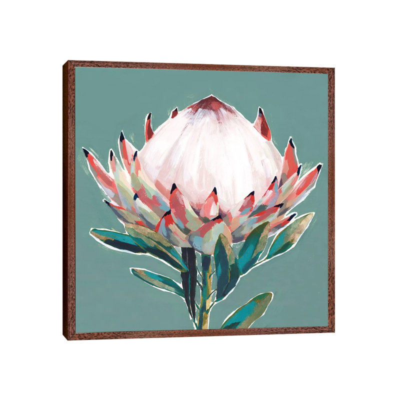 Blooming King Protea by Isabelle Z - Painting on Canvas, 93.98 cm H x 93.98 cm W, Classic Brown Wood Framed