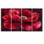 Velours bourgogne pivoine douce symphonie II - pivoines, art mural - ensemble d'art mural Traditi-652148474-652148471
