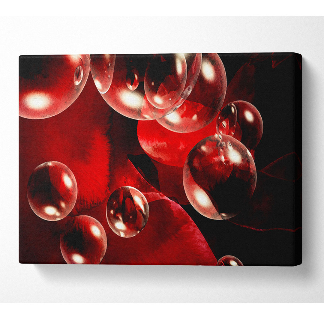 Malteser Delight - Kunstdrucke auf Leinwand - Wrapped Canvas