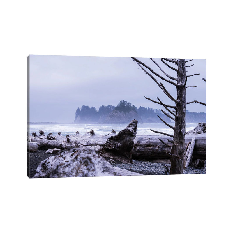 Skeleton Tree by Heather Roberson - Wrapped Canvas Print, 20.32 cm H x 30.48 cm W