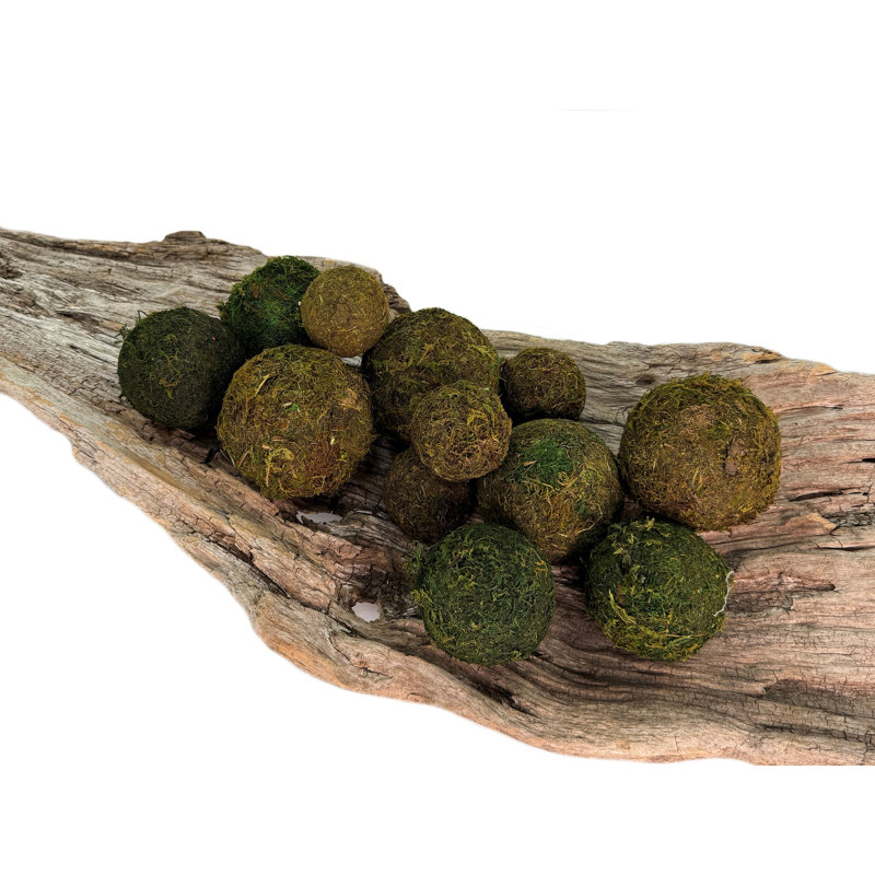 Dried Moss Orbs Bag 12Pc Green