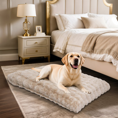 Dog Bed
